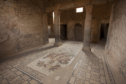 Subterranean room in the House of Amphitrite, Bulla Regia, Tunisia