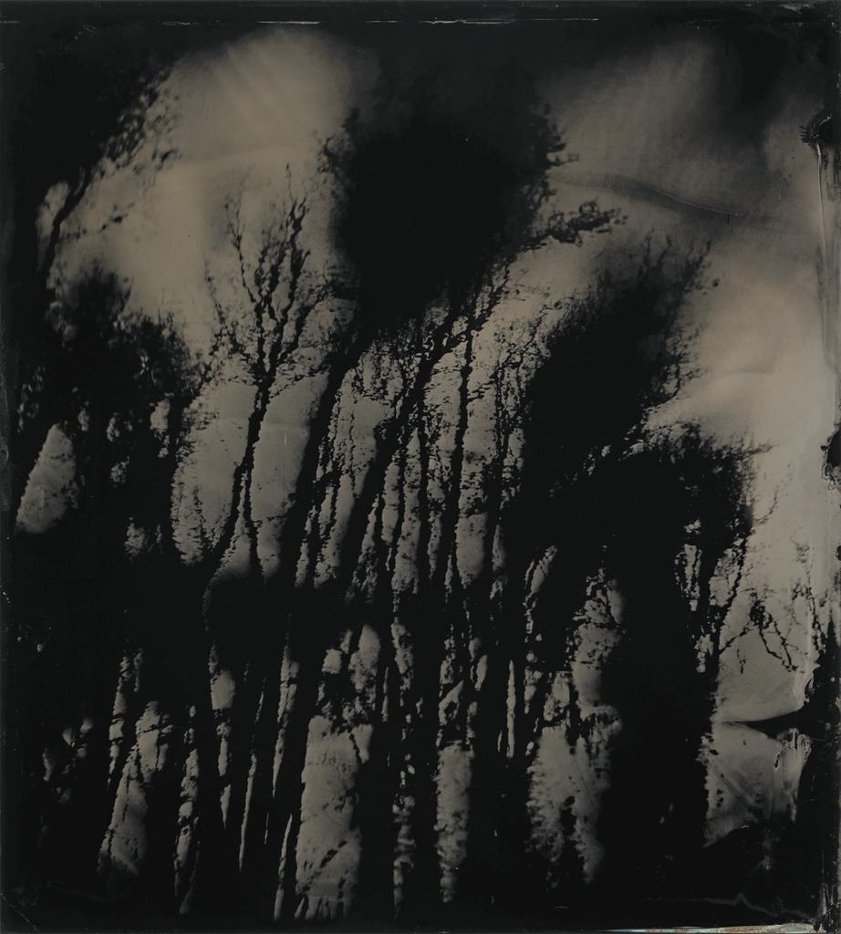 Sally Mann: A Thousand Crossings