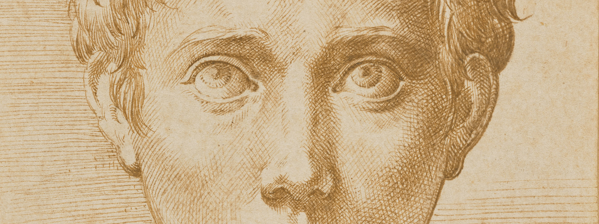 Head of a Young Man (detail), about 1539-1540, Parmigianino, pen and brown ink. The J. Paul Getty Museum