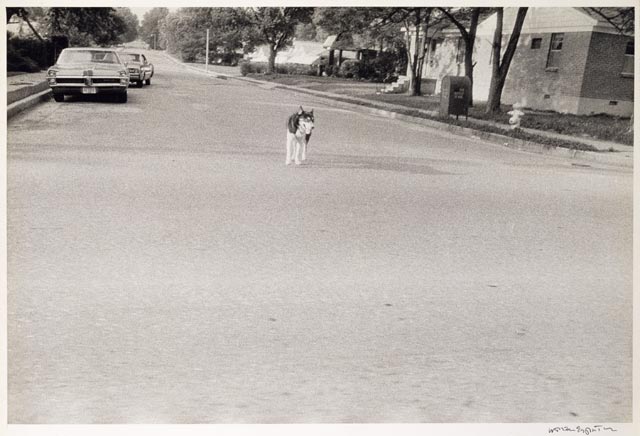 Memphis / Eggleston