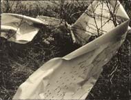 Chicago / Teske