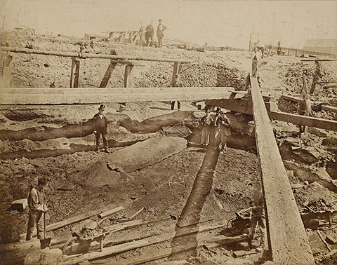 <em>Canoe and Horn In Situ, as Found in Trench. River-side Quay Wall, Stobcross</em>, 1875, Thomas Annan, albumen silver print. Courtesy of the Glasgow Life (Glasgow City Archives) on behalf of Glasgow City Council. Image © CSG CIC Glasgow Museums and Libraries Collection: Glasgow City Archives