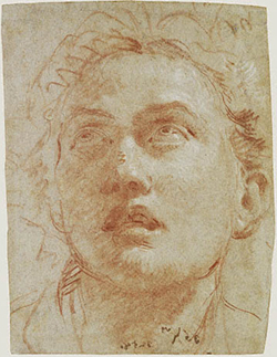 Head, Man Looking Up / G. B. Tiepolo