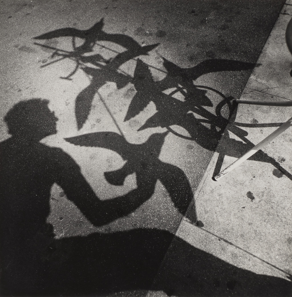 Arthur Tress: Rambles, Dreams, and Shadows