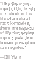 Viola quote