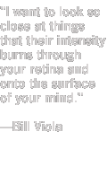Viola quote