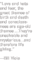 Viola quote