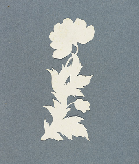 Poppy / Runge