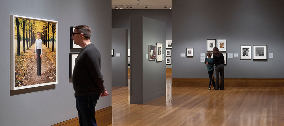 J Paul Getty Museum Virtual Tour