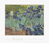 Gogh, Vincent van 