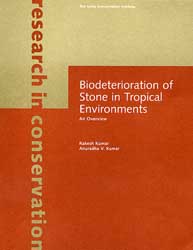 Biodeterioration of Stone in Tropical Environments