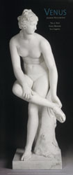 Venus, Poster