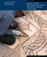 Lessons Learned: Reflecting on the Theory and Practice of Mosaic Conservation 