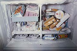 conservation photo