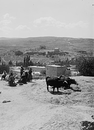 inhabitiants of Jarash