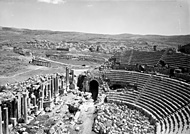 conservation image