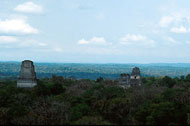 Conservation image