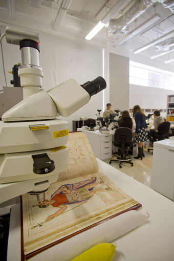 Conservation image