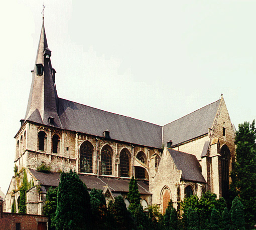 conservation image