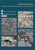 Illustrated Glossary: Technician Training for the Maintenance of in Situ Mosaics (2013)