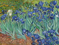 Irises/van Gogh