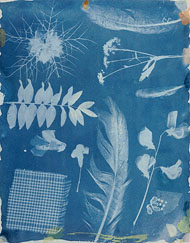 Five Health Supplement Issues And The Way To Solve Them