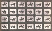 Running / Muybridge