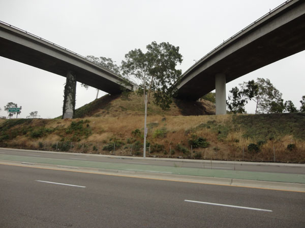 Dead Grass, Dead Cement / Luis Escobar