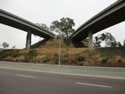 Dead Grass, Dead Cement / Luis Escobar