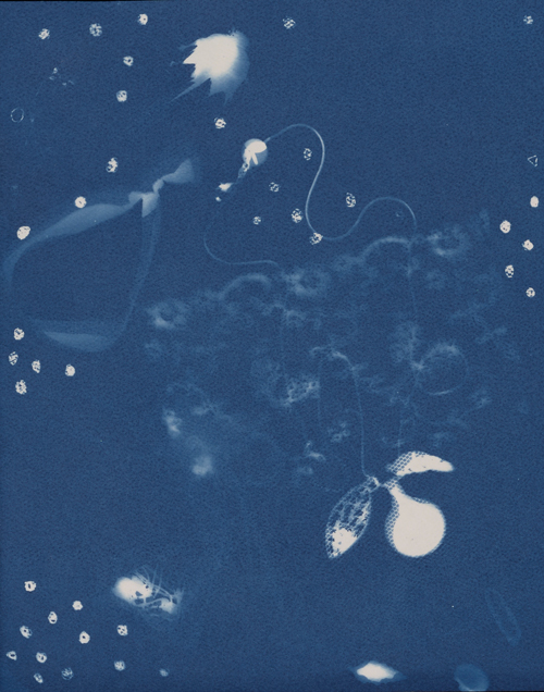 Untitled / Candy Cabral