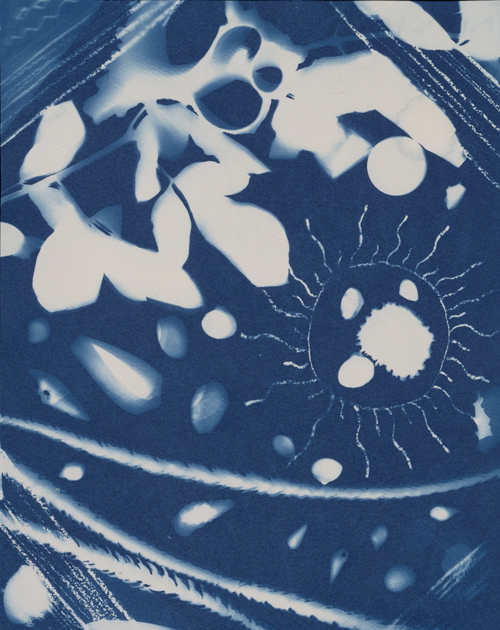 The Flower Sun / Nichole Martinez