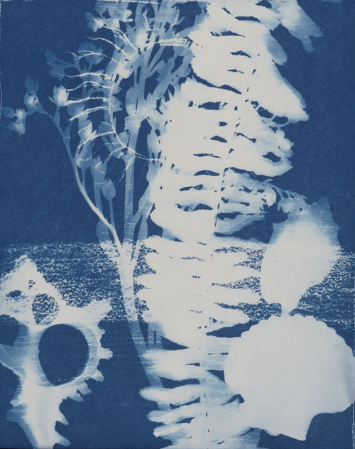 Mysterious Dimensions of Nature / Salvador Velasco