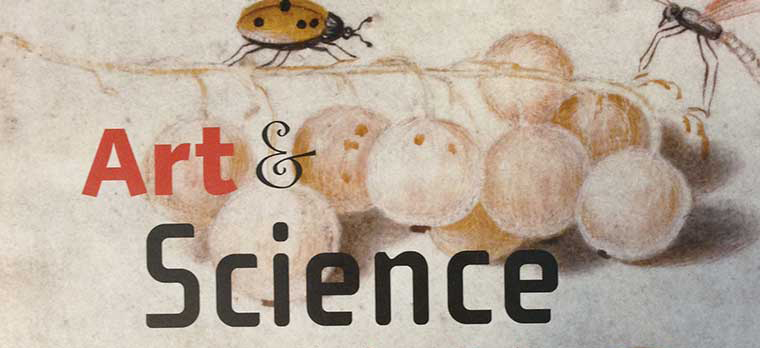 Art and Science: A Curriculum for K-12 Teachers