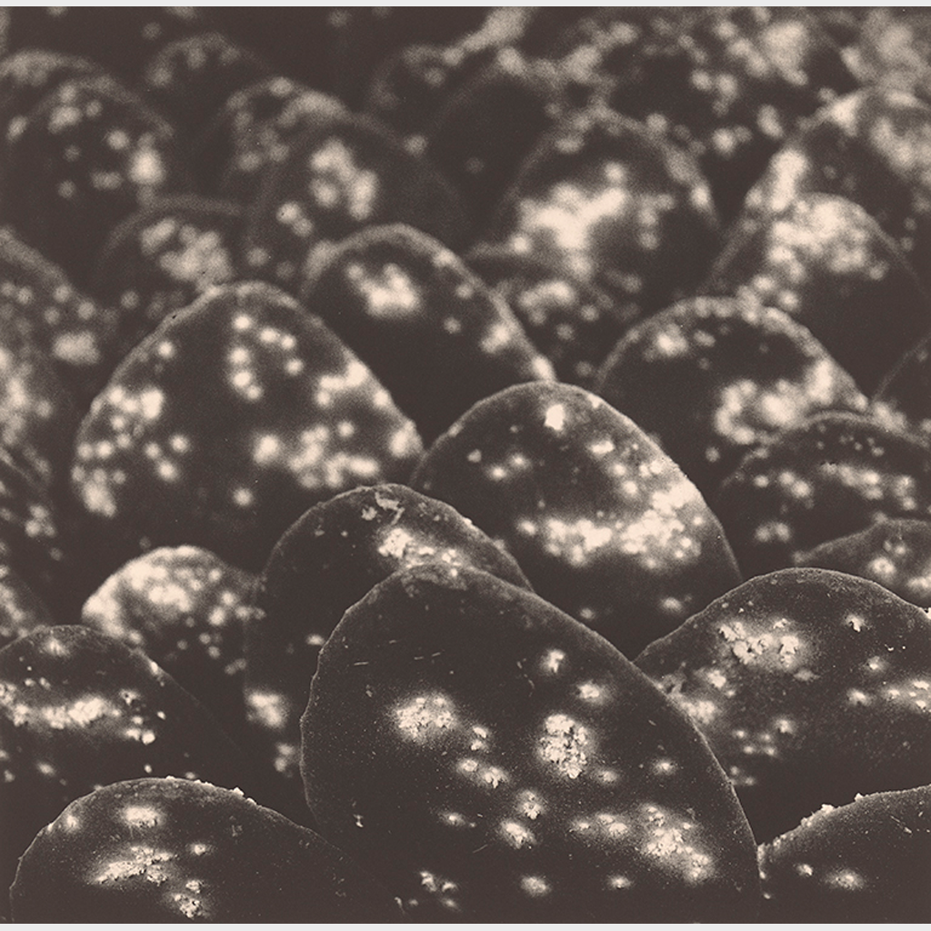 Photographic: The Life of Graciela Iturbide | The J. Paul Photographic: The Life of Graciela Iturbide | The J. Paul