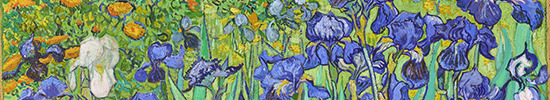 Irises by Van Gogh