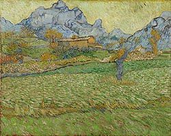 Cornfield / Van Gogh Cornfield / Van Gogh