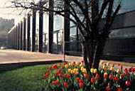 The University of Chicago