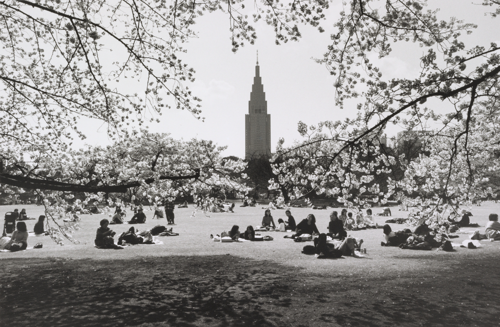 Tokyo, Shinjukugyoen, Shinjuku] (Getty Museum)