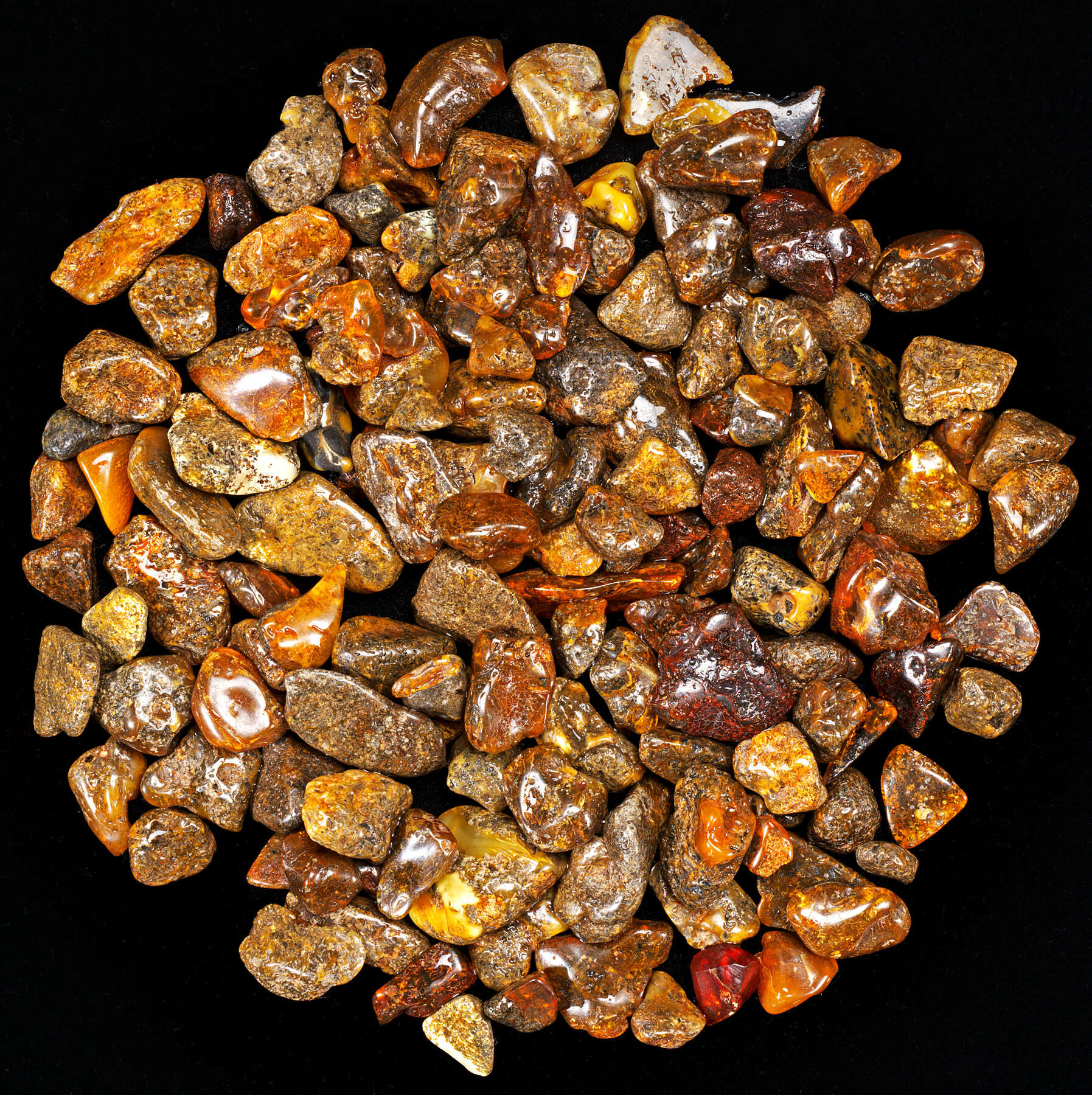 Amber : Mineral, Gemstone  Properties, Formation, Occurrence