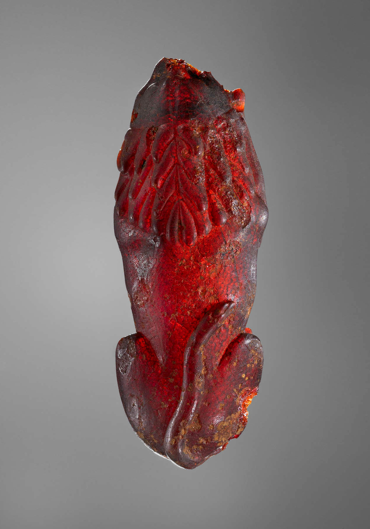 Where Is Amber Found?  Ancient Carved Ambers in the J. Paul Getty Museum