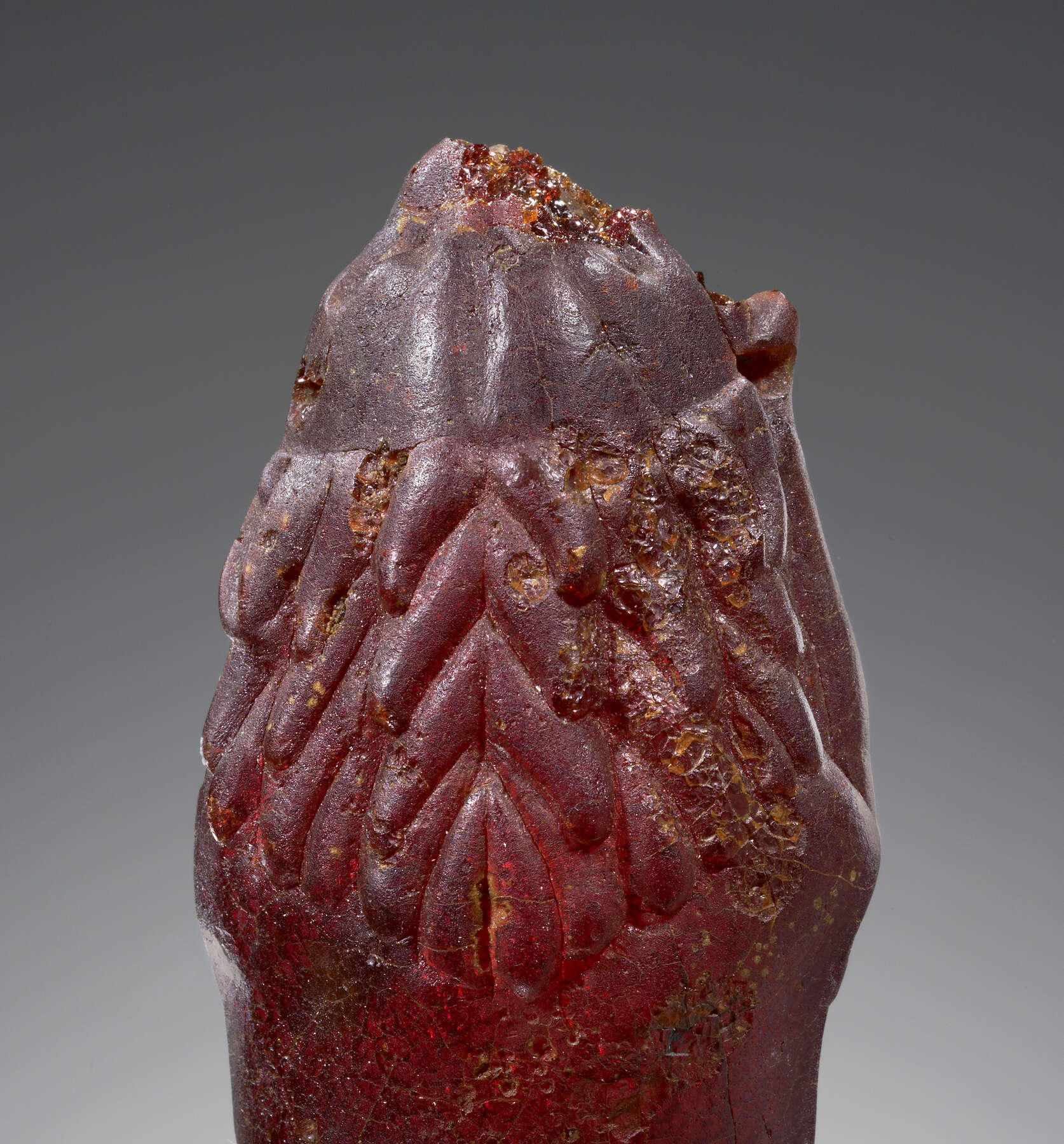 Where Is Amber Found?  Ancient Carved Ambers in the J. Paul Getty Museum