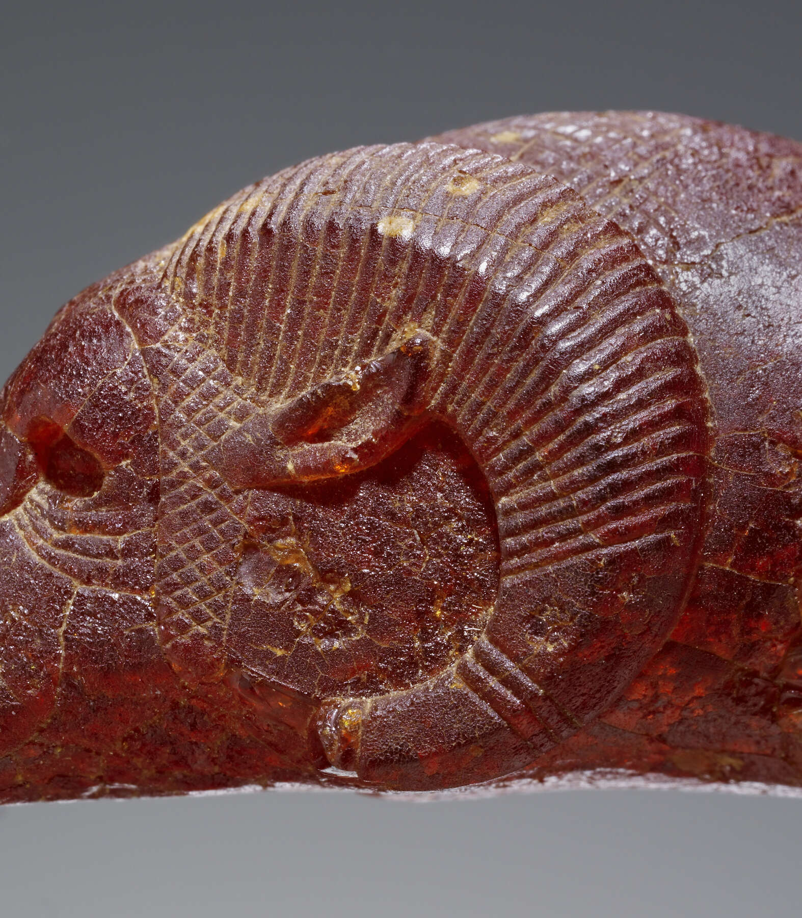 Where Is Amber Found?  Ancient Carved Ambers in the J. Paul Getty Museum