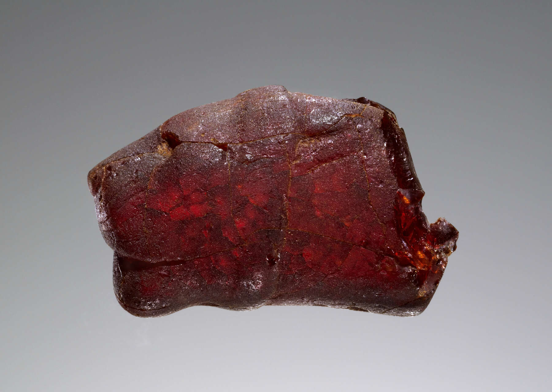 Where Is Amber Found?  Ancient Carved Ambers in the J. Paul Getty Museum