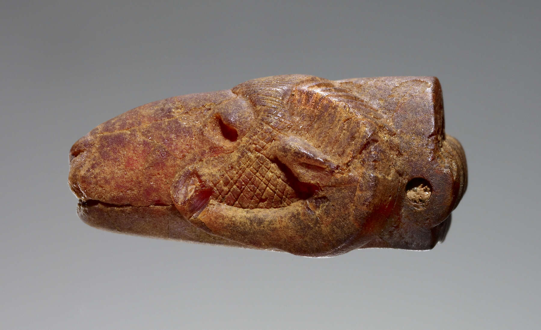 Where Is Amber Found?  Ancient Carved Ambers in the J. Paul Getty Museum