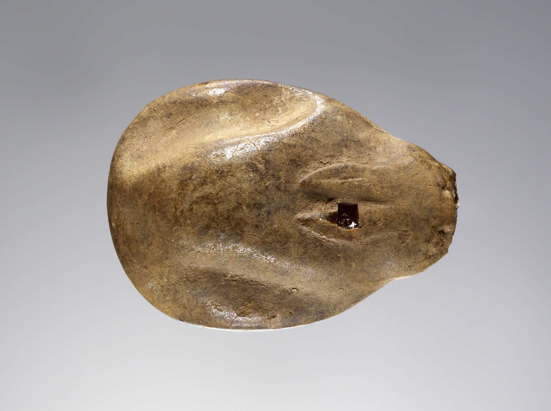 Where Is Amber Found?  Ancient Carved Ambers in the J. Paul Getty Museum