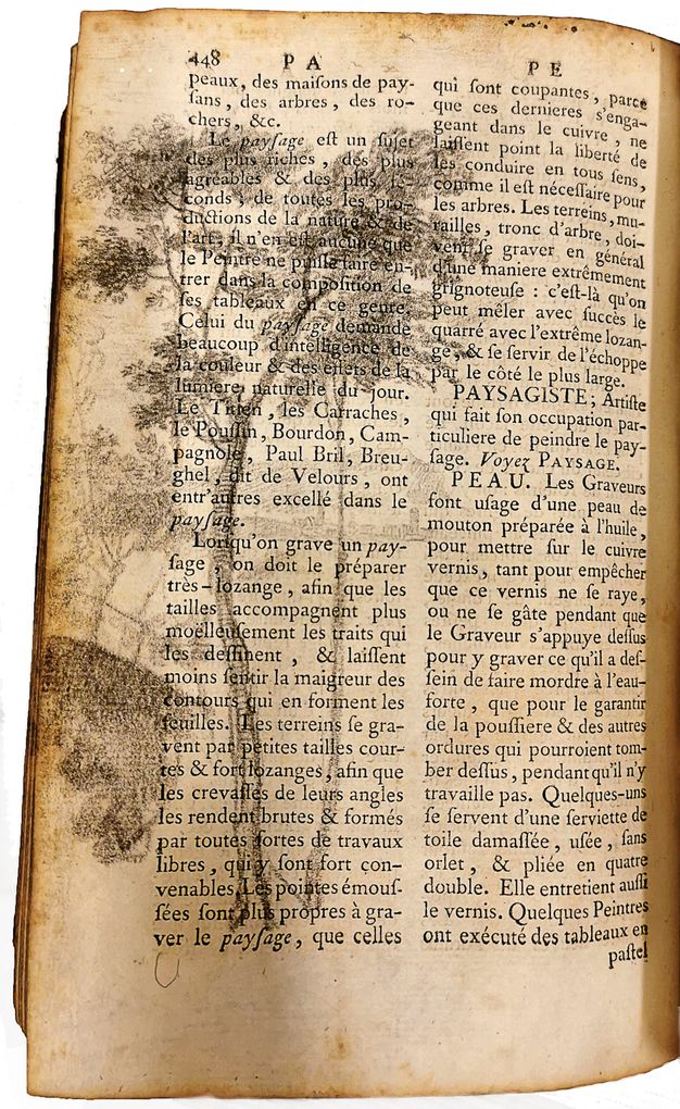 Typed page of a dictionary showing definitions for the term landscape and related words. Trees drawn in pencil have been added over the text.