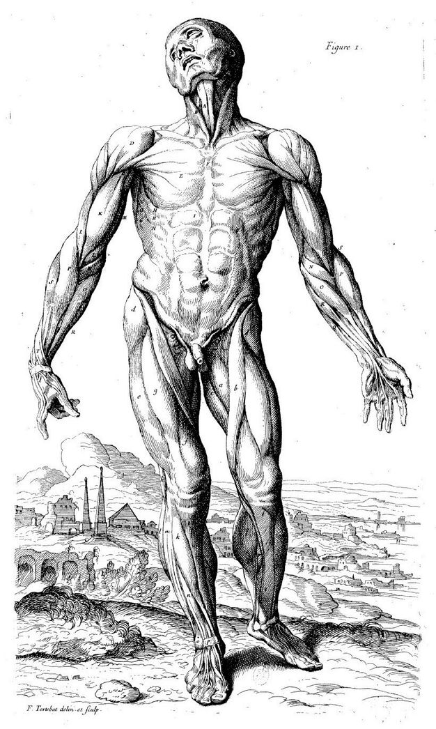 Engraving of a flayed individual depicting the muscular system of a male in a standing position. His head is tilted backwards, his arms are down and separated from the body, and his legs are slightly apart. The landscape of a village set in the countryside can be seen behind.