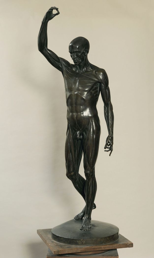 Bronze sculpture of a flayed male individual. He is depicted standing and with his weight resting on his left leg, while the right one is slightly bent with the foot a step behind. He raises his left arm above his head.