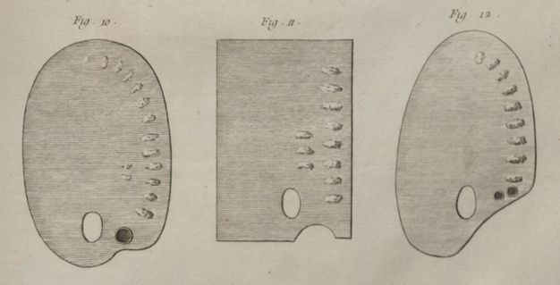 Etched depiction of three palettes with different shapes, from oval to rectangular, each with its own numerical label. The three feature a thumbhole, a cutaway section on the edge, and paint globules.