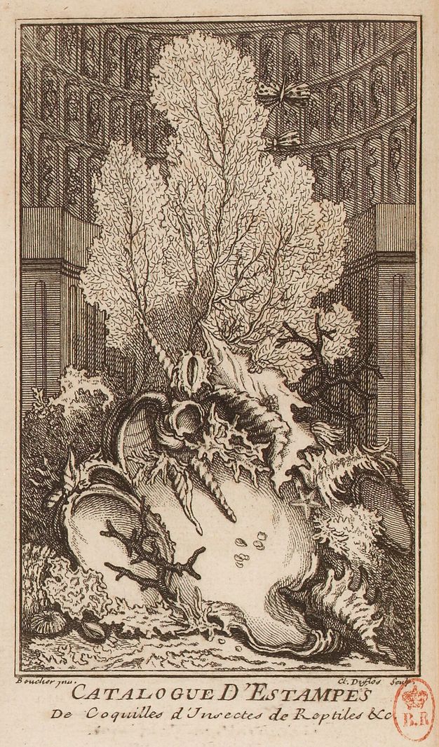 Plate showing a central scene and text in French underneath. The scene depicts a collection of shells and coral piled on top of one another. The assemblage is placed before shelves filled with specimens in transparent containers.